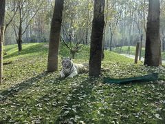 -北京野生动物园