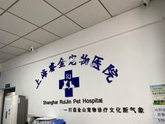 -睿金宠物医院·CT·肿瘤·骨外科