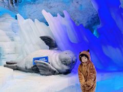 -海合安成都极地海洋公园