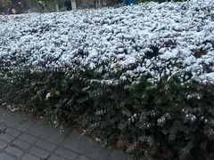 -链家(虹苑新寓店)