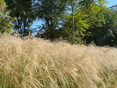 -永定河休闲森林公园