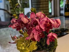 -蝶舍·MAISON PAPILLON