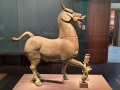 -广西壮族自治区博物馆