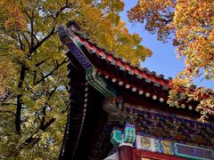 -香山公园