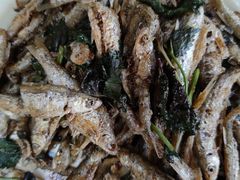 -幽优农庄·森波拉特色本地农家菜