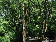 -WeLope紫金山探险公园