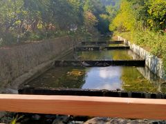 -广州白江湖森林公园