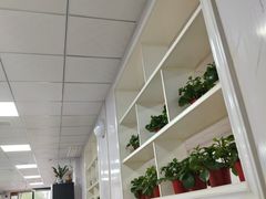 -张杨烤菜(渭南总店)