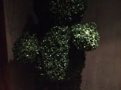 iphone_upload_pic-蝴蝶汇音乐酒馆(罗湖店)