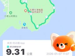 -广东惠东海龟国家级自然保护区