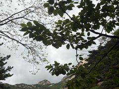 -无染寺