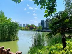-青枫公园