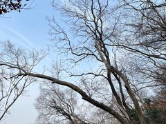-南京市江宁方山