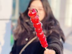-和禄德冰糖葫芦
