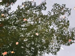 -绳金塔
