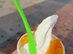 -Salud撒露欧洲冻酸奶(蓝色港湾店)