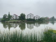 -塘栖枇杷特色园区