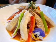 椒麻鸡-必点海鲜·鲅鱼水饺(鞍山西道店)