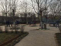 -张店儿童公园