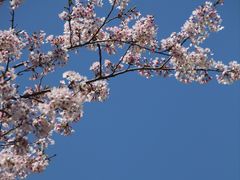 -上海滨江森林公园