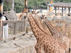 -杭州野生动物世界