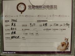 -宠爱国际动物医院·消化内科·心肾内科·ISFM猫友好(望京店)