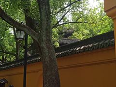 -西园戒幢律寺