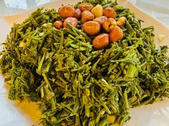 -京北渔家傲