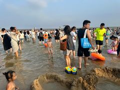 -碧海金沙