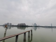-金银湖国家城市湿地公园