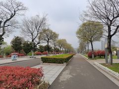 -映像徐州(滨湖店)