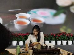 -诗宇时光茶艺书法古琴培训