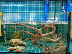 -坛南湾阿强农家乐.海鲜大排档老字号(福州地标美食店)
