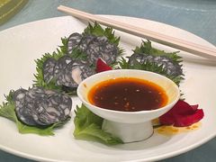 -丁老爷子苏香圆