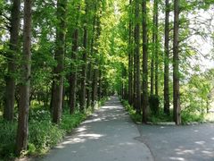 -金岛生态园烧烤露营地