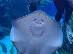 -成都浩海立方海洋公园