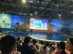 -华夏文旅海洋公园