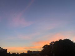 -深圳湾公园(南山区)