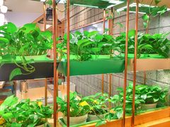 大堂-犟牛家·榴莲烤肉(五棵松店)