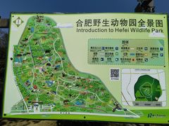 -合肥野生动物园