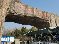-合肥野生动物园
