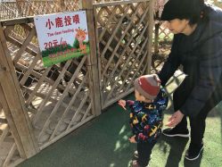 点击看大图 -萌宠亲子动物乐园(槐房万达店)