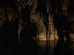 -怀托摩萤火虫洞