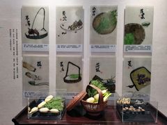-苏州太湖国家湿地公园