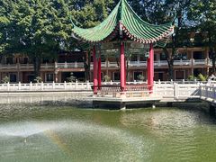 -广东圆玄道观