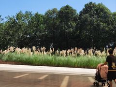 -中国天府农业博览园