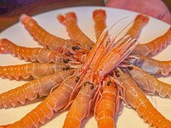 -拉蒂娜·巴西牛排馆 Latina·Brazilian Steakhouse(铜仁旗舰店)