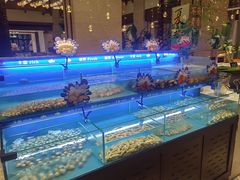 -太湖饭店玉兰厅(自助餐厅)