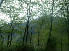 -成都濑川外国语学校