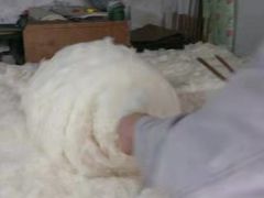 -利民棉花加工店